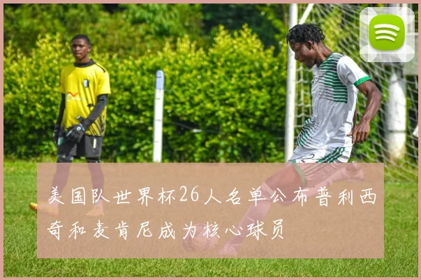 美国队世界杯26人名单公布普利西奇和麦肯尼成为核心球员